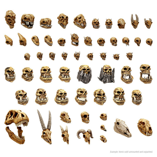 Green Stuff World 300x Battlefield Creature Skulls 1:48 - 1:35 - Wargaming and Basing - Cobbco