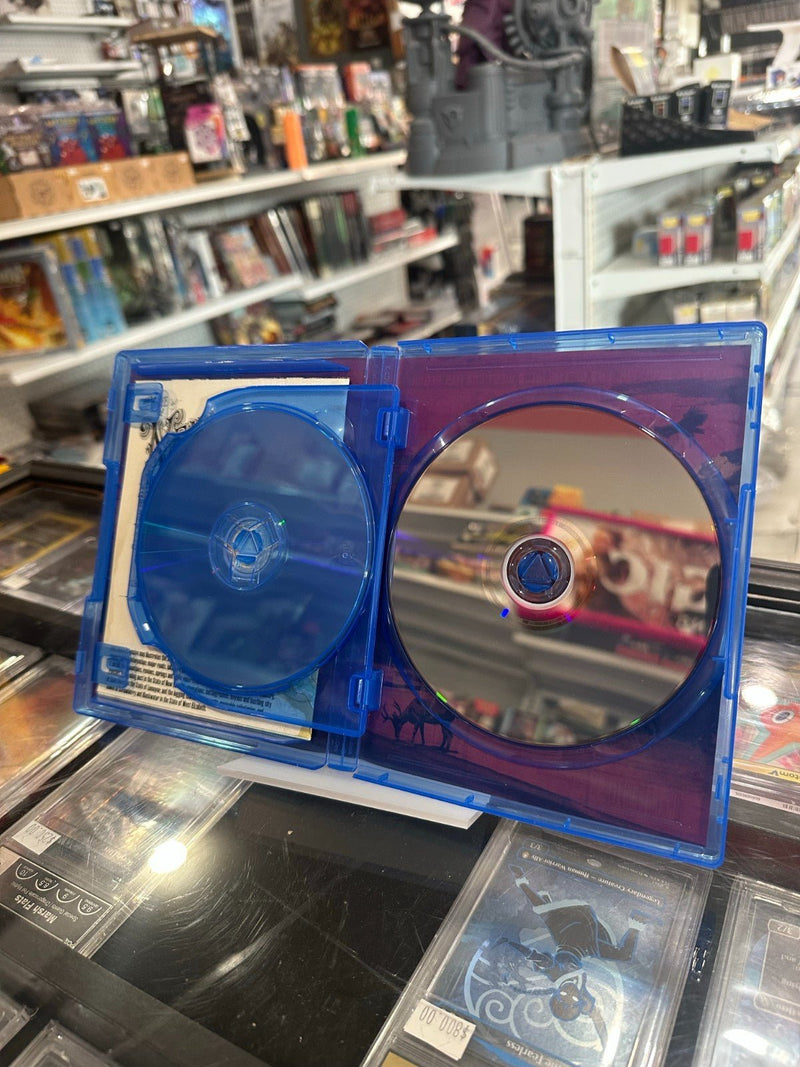 Load image into Gallery viewer, Red Dead Redemption 2 - PS4 - Sony PlayStation 4 CIB - Good Condition - Cobbco
