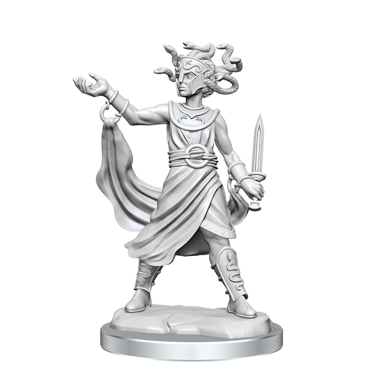 D&D Frameworks: Human Fighter Female - Unpainted and Unassembled