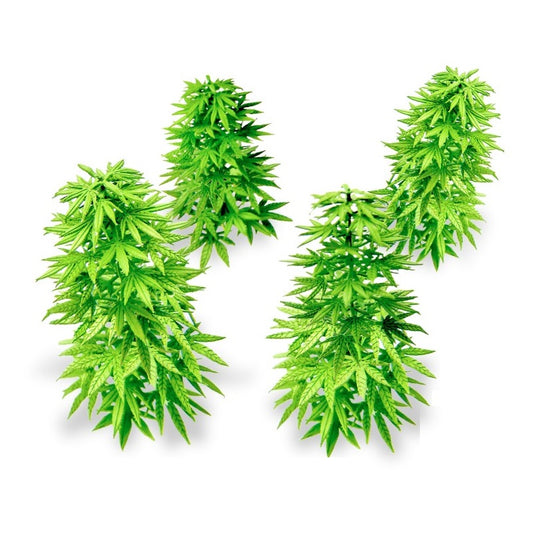 Green Stuff World Paper Plants - Cannabis 10448