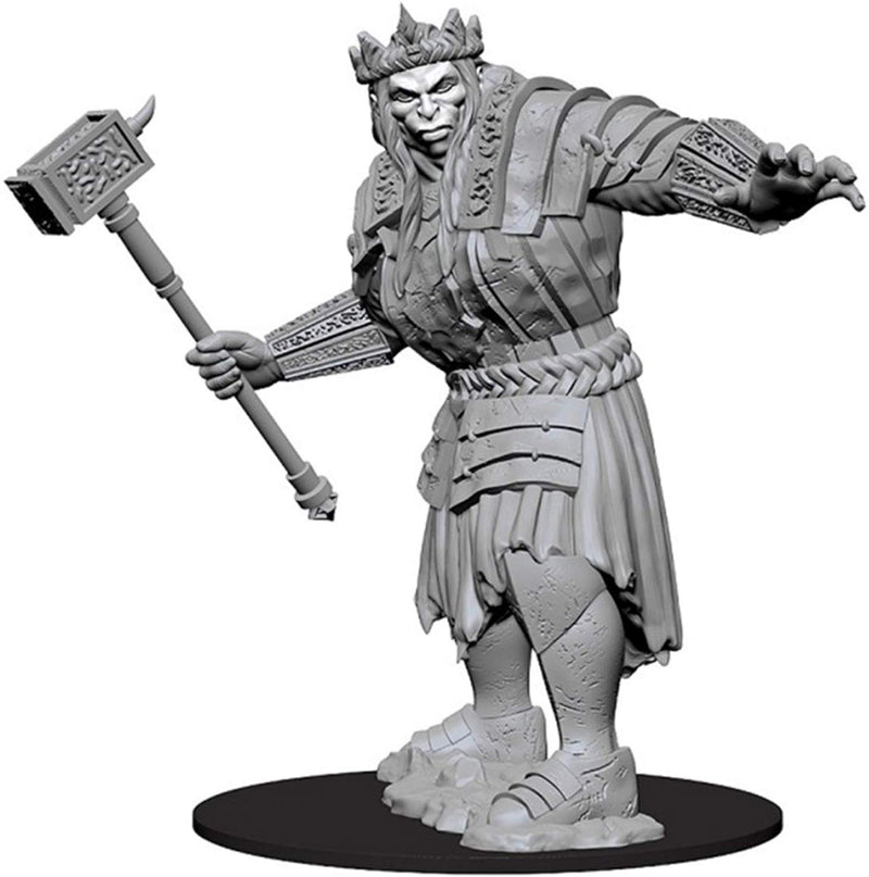 Load image into Gallery viewer, Dungeons and Dragons Nolzur&#39;s Marvelous Miniatures - Fire Giant WZK73579
