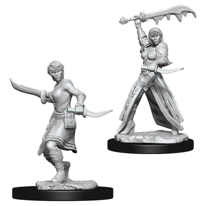 Load image into Gallery viewer, Dungeons &amp; Dragons Nolzur&#39;s Marvelous Miniatures - Female Human Rogue WZK73831
