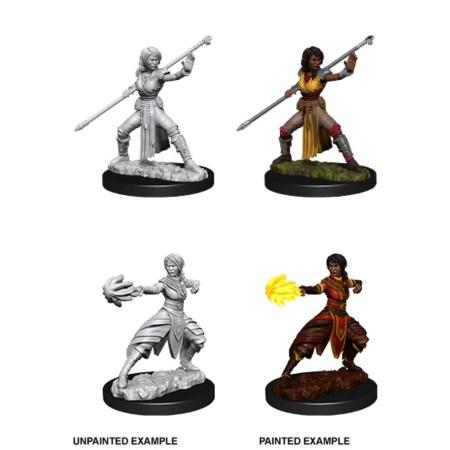 Dungeons & Dragons Nolzur's Marvelous Miniatures Female Half-Elf Monk WZK73839