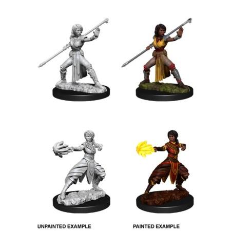 Load image into Gallery viewer, Dungeons &amp; Dragons Nolzur&#39;s Marvelous Miniatures Female Half-Elf Monk WZK73839

