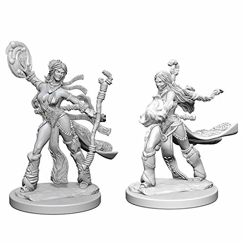 Load image into Gallery viewer, Pathfinder Deep Cuts Unpainted Miniatures: Human Female Sorcerer WZK72604
