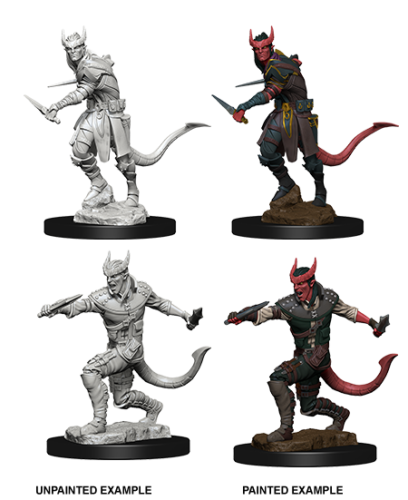 Load image into Gallery viewer, Dungeons &amp; Dragons Nolzur&#39;s Tiefling Male Rogue WZK73338
